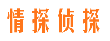 城西市婚姻出轨调查